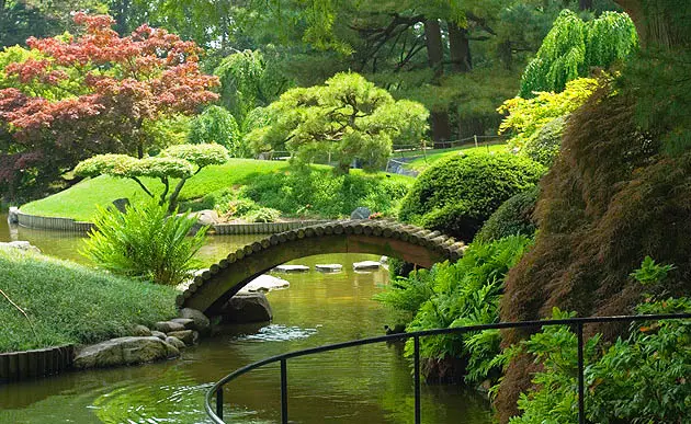 Serene garden scene with lush greenery