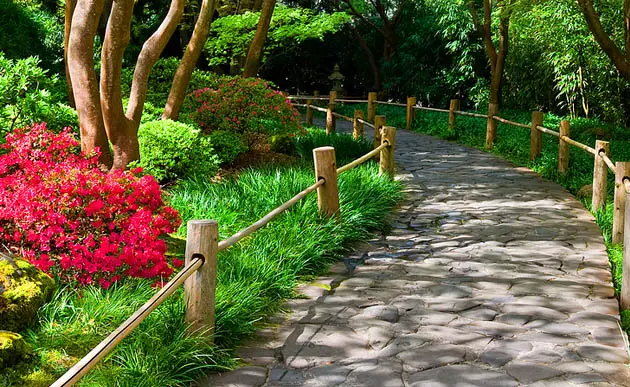 Garden path with blooming flowers