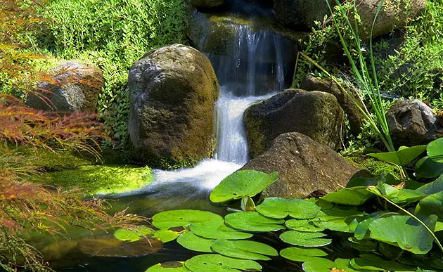 Small waterfall with lush greenery